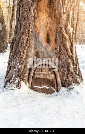 Die Holztür des Hauses der Zwerge in der Kiefer. Stockfoto