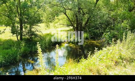 Aue Fluss Tauber ford Bach Natur üppig grün in der Sonnenschein Flachwasser Forellen Angeln Auenlandschaft Wildnis in der Nähe der natürlichen Umgebung Stockfoto