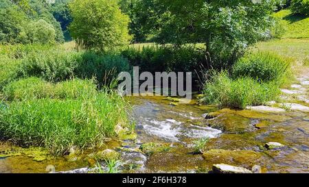 Aue Fluss Tauber ford Bach Natur üppig grün in der Sonnenschein Flachwasser Forellen Angeln Auenlandschaft Wildnis in der Nähe der natürlichen Umgebung Stockfoto