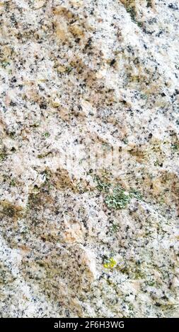 Oberflächenstruktur Korn Granit hell Stein rau alt Flechten Mineral Baumaterial Hintergrund Oberfläche schwarz weiß Granit Wand Marmor Stockfoto