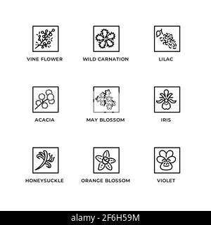 Vektor-Set von Design-Elementen, Logo-Design-Vorlage, Icons und Abzeichen für Kräuter und Pflanzen. Liniensymbole gesetzt, editierbare Kontur. Stock Vektor