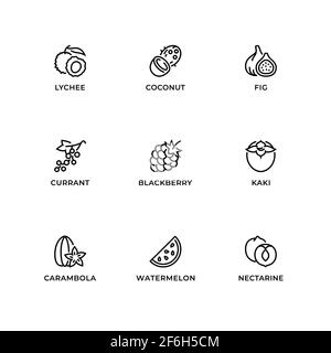 Vektor-Set von Design-Elementen, Logo-Design-Vorlage, Symbole und Abzeichen für Obst. Liniensymbole gesetzt, editierbare Kontur. Stock Vektor