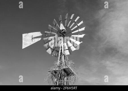 Aermotor Windpumpe auf einer Iowa Farm Stockfoto