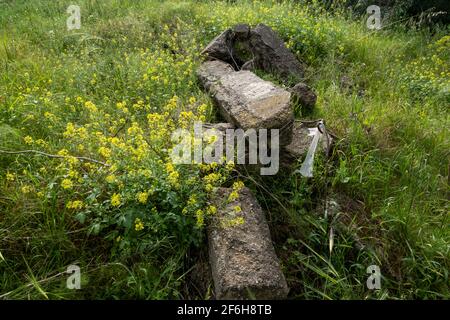 Ruinen einer Moschee des entvölkerten palästinensischen Dorfes al-Falluja, die 1948 zerstört wurde, auf dessen Ruinen der Plugot-Nationalpark im südlichen Teil Israels errichtet wurde. Stockfoto