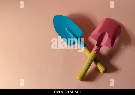 Minimalistische Komposition mit blauen und rosa Gartenschaufeln auf rosa Hintergrund. Schaufeln mit Holzgriffen. Gartengeräte, Handwerkzeuge Stockfoto