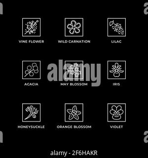 Vektor-Set von Design-Elementen, Logo-Design-Vorlage, Icons und Abzeichen für Kräuter und Pflanzen. Liniensymbole gesetzt, editierbare Kontur. Stock Vektor