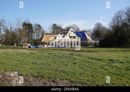 Das Haus wird renoviert und das Strohdach ist mit neuem Strohdach bedeckt. In ländlicher Umgebung in der Nähe des niederländischen Dorfes Bergen. Niederlande, Bergen, Stockfoto