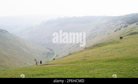 Brighton UK 30. März 2021 - Hundewanderer am Devils Dyke entlang des South Downs Way in der Nähe von Brighton, während die Sonne versucht, den frühen Morgennebel abzubrennen. Das Wetter wird über das Osterwochenende viel kälter und Schnee wird sogar für Montag vorhergesagt : Credit Simon Dack / Alamy Live News Stockfoto