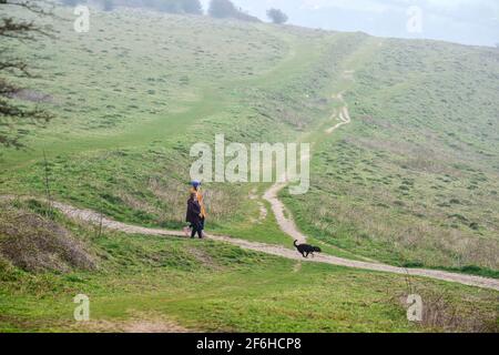 Brighton UK 30. März 2021 - Hundewanderer am Devils Dyke entlang des South Downs Way in der Nähe von Brighton, während die Sonne versucht, den frühen Morgennebel abzubrennen. Das Wetter wird über das Osterwochenende viel kälter und Schnee wird sogar für Montag vorhergesagt : Credit Simon Dack / Alamy Live News Stockfoto