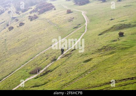 Brighton UK 30. März 2021 - EIN Hundespaziergang auf dem Devils Dike entlang des South Downs Way in der Nähe von Brighton, während die Sonne versucht, den frühen Morgennebel abzubrennen. Das Wetter wird über das Osterwochenende viel kälter und Schnee wird sogar für Montag vorhergesagt : Credit Simon Dack / Alamy Live News Stockfoto