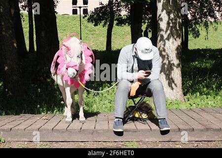 Welikij Nowgorod, Russland, Aleksandr Kirillov - 02052020: "Pony in Form eines Einhorns und des Besitzers" Stockfoto