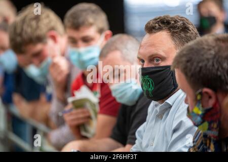 Bauern tragen Gesichtsmasken bei Viehverkäufen während der Covid-19 Pandemie im Jahr 2020. Stockfoto