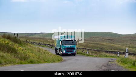 I'anson-Wagen mit Viehfutter, der auf einer schmalen Landstraße in North Yorkshire, Großbritannien, unterwegs ist. Stockfoto