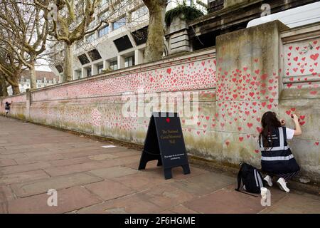 London, Großbritannien - 31. März 2021: Familie und Freunde von Covid-19-Opfern malen rote Herzen an der National Covid Memorial Wall vor dem St. Thomas' Hospital im Zentrum von London. Jedes einzeln gezeichnete Herz stellt ein Opfer des Coronavirus dar.