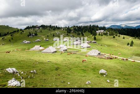 Berghütte oder Haus auf idyllischem Hügel Velika Planina. Bio Öko Landwirtschaft gesundes Leben auf Mala Planina oder Velika Planina. Reiseziel für f Stockfoto