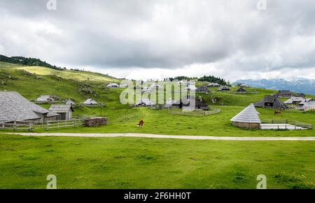 Berghütte oder Haus auf idyllischem Hügel Velika Planina. Bio Öko Landwirtschaft gesundes Leben auf Mala Planina oder Velika Planina. Reiseziel für f Stockfoto