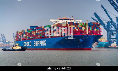 Global Britain Trade - COSCO Galaxy Ultra Large Container Ship ULCS wird im Felixstowe Port UK angedockt. COSCO Shipping Galaxy gebaut 2019, Länge 400m. Stockfoto