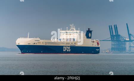 EU-Handel im Vereinigten Königreich. Die DFDS Tulipa Seaways RO-RO Cargo Ferry verlässt den Hafen Felixstowe nach Rotterdam. Die DFDS Tulipa Seaways wurde 2017 gebaut. Stockfoto