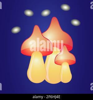 Fantastische leuchtend orange Pilze auf dunklen Hintergrund Vektor-Illustration Stock Vektor