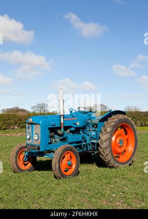 Fordson Super Major Vintage Traktor in einem Feld mit gebohrt Frühlingsgerste Stockfoto