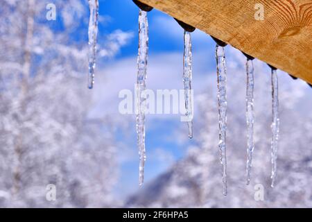 Harmonische Reihe von Eiszapfen, die vom Dach auf dem hängen Hintergrund von schneebedeckten Bäumen und einem blauen Himmel mit Wolken Stockfoto