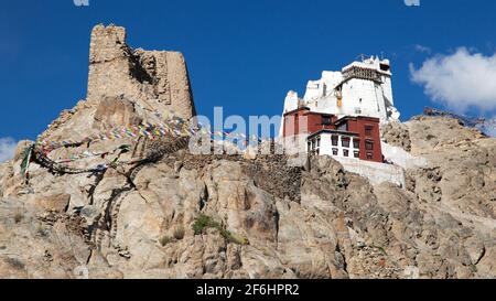 Namgyal Tsemo Gompa mit Gebetsfahnen - Leh - Ladakh - Jammu und Kaschmir - Indien Stockfoto