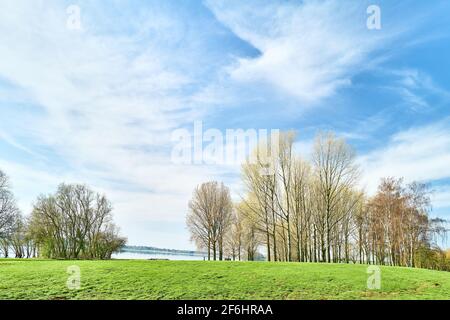Baumkronen an einem frühen Frühlingstag in einer Parklandschaft am See. Stockfoto