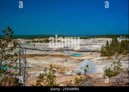 Geothermische Pools am Porcelain Basin Boardwalk Trail im Norris Geyser Basin des Yellowstone National Park, Wyoming, USA. Hochwertige Fotos Stockfoto