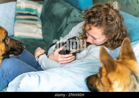 Die junge Frau sitzt auf dem Sofa mit ihrem kleinen Jack Russell Terrier Welpen in den Armen. Zwei aus Fokus Deutsche Schäferhunde schauen neugierig an Stockfoto