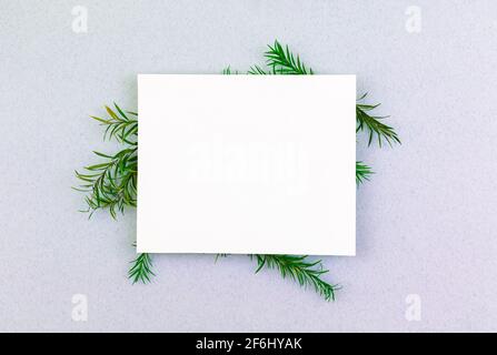 Schöne, frische Frühlingskomposition mit grünen Blättern und weißer Karte, Mockup, Hochzeitseinladungskonzept, Kopierraum und flachem Lay-Foto Stockfoto