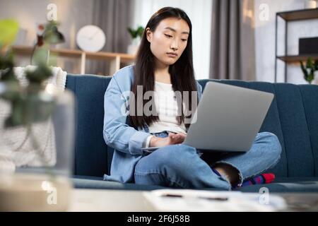 Nahaufnahme des Porträts einer ziemlich selbstbewussten, zielstrebigen asiatischen Koreanerin, die von zu Hause aus fernarbeitet, im gemütlichen Wohnzimmer auf dem Sofa in Lotusposition sitzt und auf einem Laptop-pc tippt Stockfoto