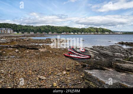 Bemalter Croc Rock am Strand von Isle of Cumbrae in der Nähe von Millport im Sommer Stockfoto