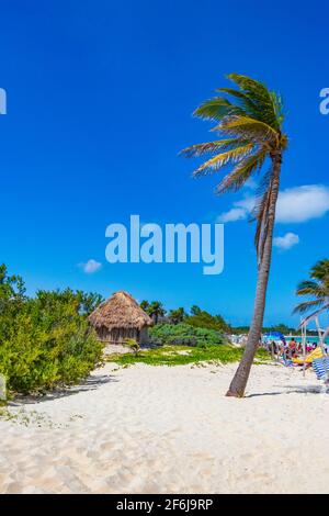 Tropischer natürlicher mexikanischer Strand 88 mit Palmen und Hütte in Playa del Carmen Mexiko. Stockfoto