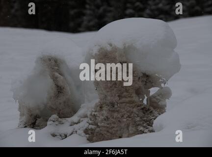 Schneehügel von schmutzigem, altem gefrorenem Schnee mit einem Staubwischen von frisch gefallenem, weißem Schnee auf abstrakten Formen im horizontalen Format mit Platz für Text Stockfoto