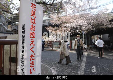 Tokio. April 2021. Das am 1. April 2021 aufgenommene Foto zeigt ein Schild, auf dem die Menschen darauf hindeuten, die Kirschblüten in Nakameguro, einem für die Kirschblüten berühmten Aussichtspunkt in Tokio, nicht zu sehen. Quelle: Du Xiaoyi/Xinhua/Alamy Live News Stockfoto