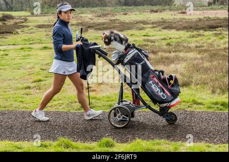 London, Großbritannien. April 2021. Golf ist wieder da - die Menschen nutzen den letzten Tag des für die Saison unheimlich warmen Wetters und die nächste Stufe der Lockerung der Einschränkungen der Lockdown 3 auf Wimbledon Common. Kredit: Guy Bell/Alamy Live Nachrichten Stockfoto