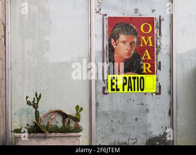 Altes Plakat eines Sängers an der Wand eines Disco und Topfpflanzen Sukkulenten in Italien Stockfoto