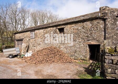 Winterfutter bei Halton Gill Stockfoto