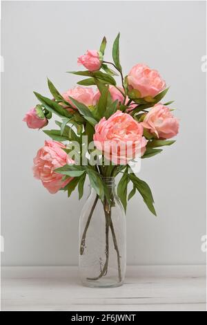 Schöne rosa Pfingstrosen Blumen in Vase Stockfoto