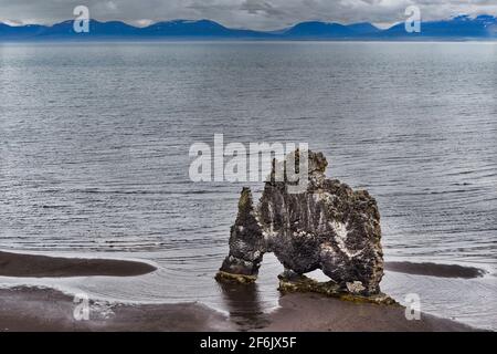 Hvítserkur ist ein 15 m hoher Basaltstapel entlang der östlichen Küste der Halbinsel Vatnsnes im Nordwesten Islands Stockfoto