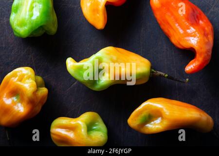 pimenta de cheiro, Chili Stockfoto