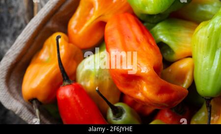 pimenta de cheiro, Chili Stockfoto