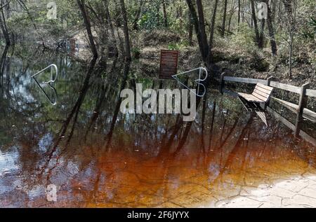 Hochwasser, Suwanee River, Hochwasser, Geländer, Bank, Teilweise untergetaucht, Reflexionen, Wasser, Stephen Foster Cultural State Park, Florida, White Spri Stockfoto