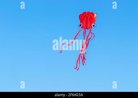 Low Angle View von Kite gegen den klaren blauen Himmel Stockfoto