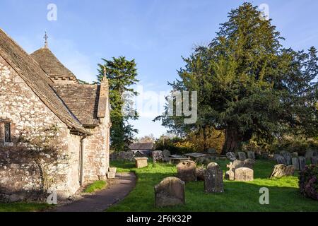 Die St. Mary Magdalene Kirche, die in einem kreisförmigen Kirchhof in Hewelsfield im Forest of Dean, Gloucestershire, Großbritannien, liegt und ihren alten Eibenbaum aus dem 8. Jahrhundert zeigt. Stockfoto