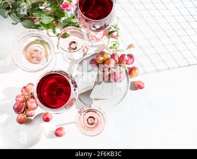 Wein verschiedener Sorten auf hellem Beton-Hintergrund. Viele verschiedene Gläser Wein. Konzept der Weinprobe. Draufsicht, flach liegend Stockfoto