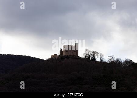 Altes Hambacher Schloss im Winter von hinten auf einem Berg Mit Bäumen Stockfoto