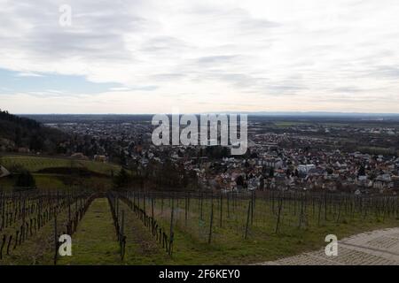 Blick über die Weinberge bis nach Bensheim mit den Industrieanlagen Von Mannheim im Hintergrund Stockfoto