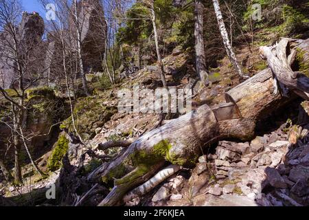 Steile Einsiedlerwege auf den Battert-Felsen in Baden Baden. . Baden Württemberg, Deutschland, Europa Stockfoto