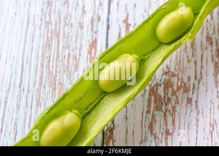 Zwei breite Bohnen, die an ihrem offenen Pod auf einem befestigt sind Holztisch in gebleichten Blautönen Stockfoto